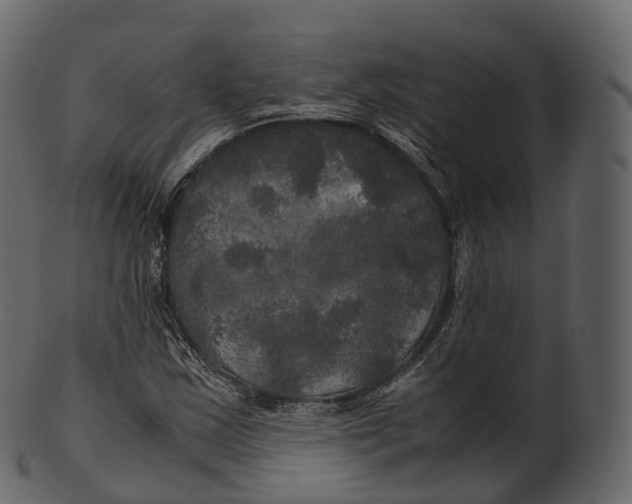 X0000100491163200807031909