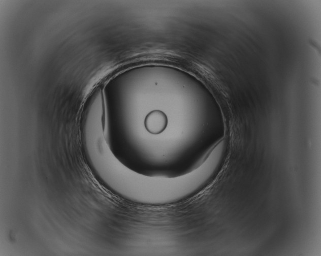 X0000100491164200807031909