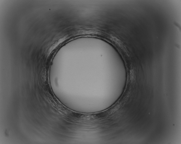 X0000100491165200807031909