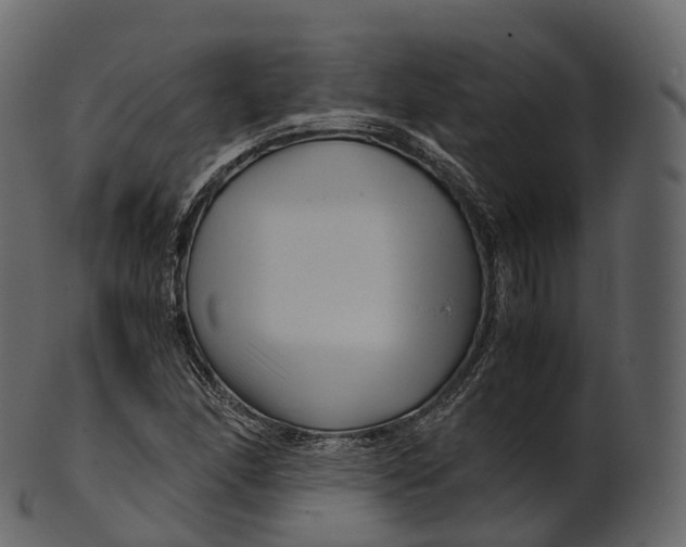 X0000100491166200807031909