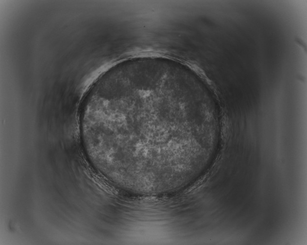 X0000100491167200807031909