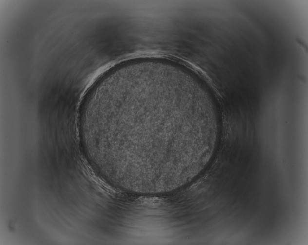 X0000100491168200807031909