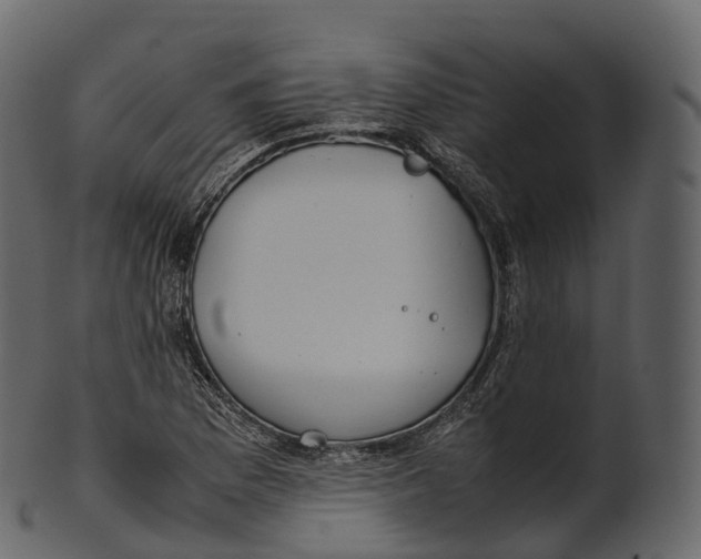 X0000100491169200807031909