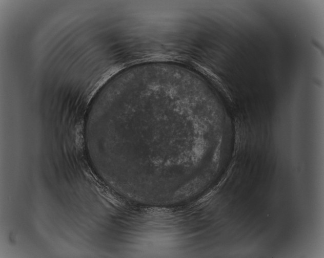 X0000100491170200807031909