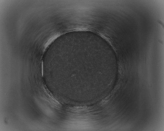 X0000100491171200807031909