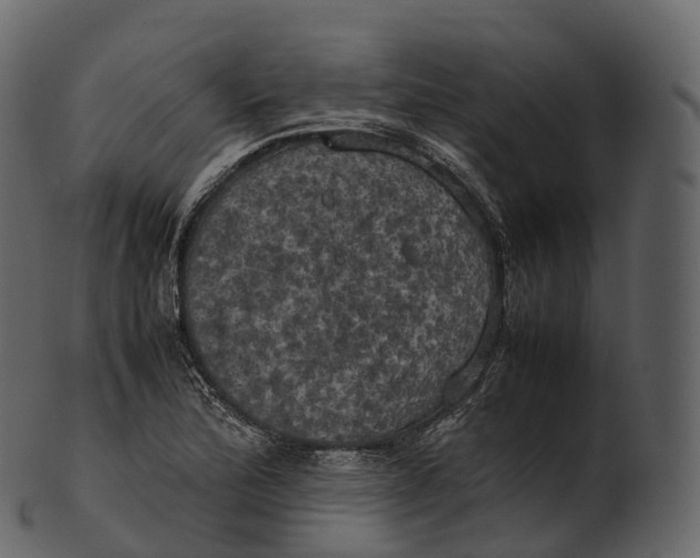 X0000100491172200807031909