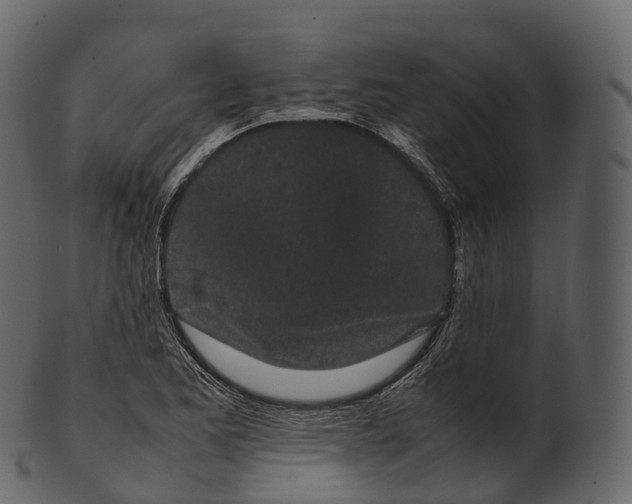 X0000100491173200807031909