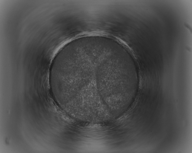 X0000100491174200807031909