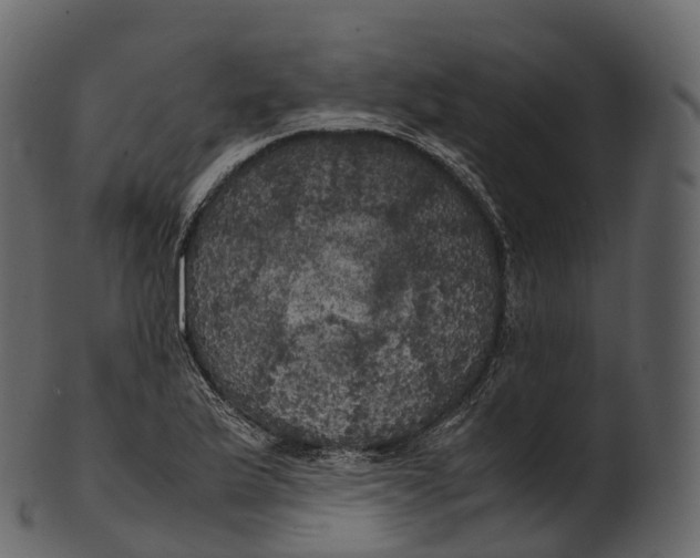 X0000100491175200807031909