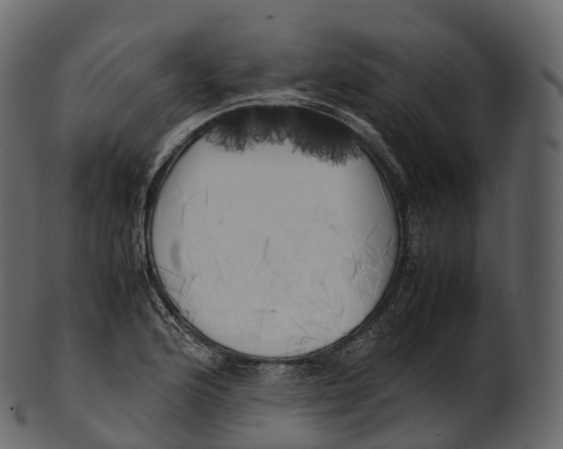 X0000100491176200807031909