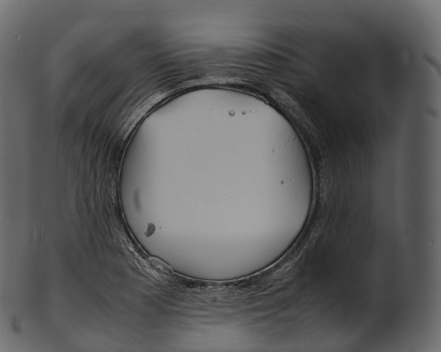 X0000100491177200807031909