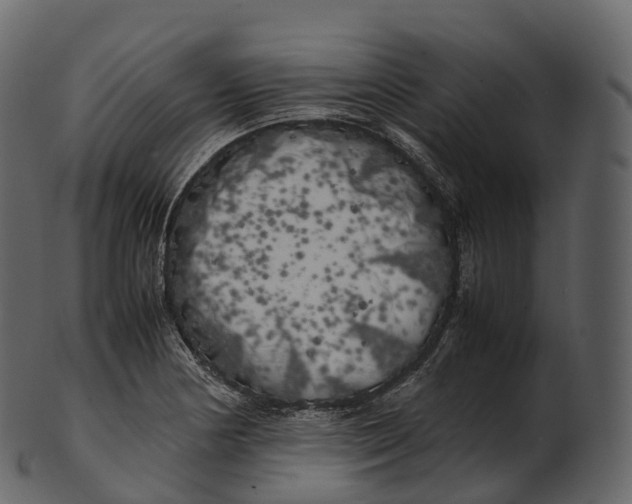 X0000100491178200807031909