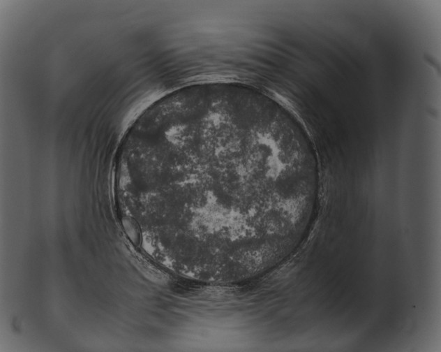 X0000100491179200807031909