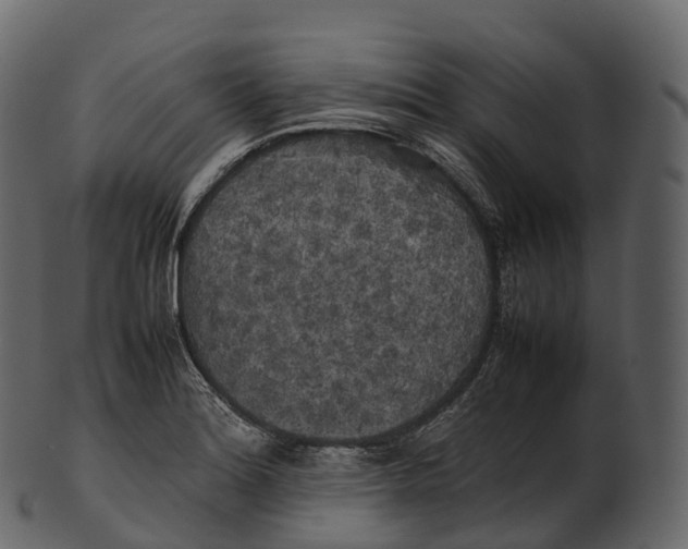 X0000100491180200807031909