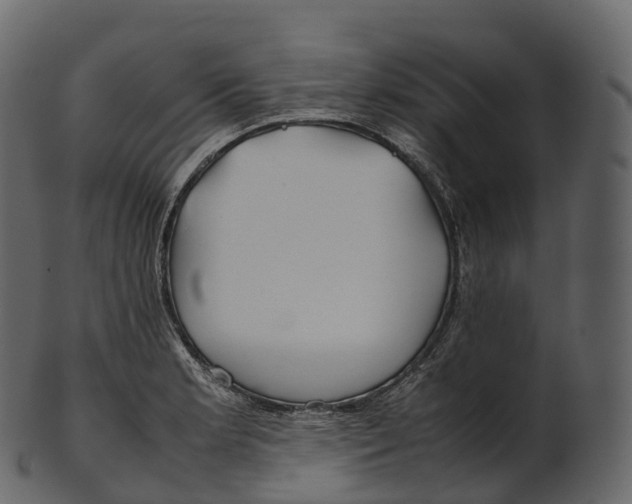 X0000100491181200807031909