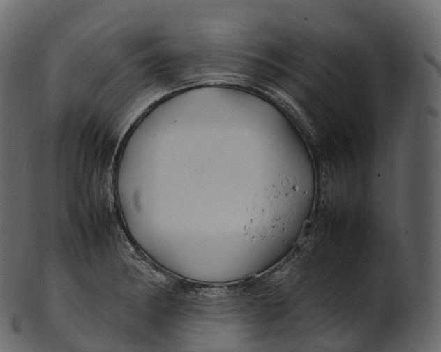 X0000100491182200807031909