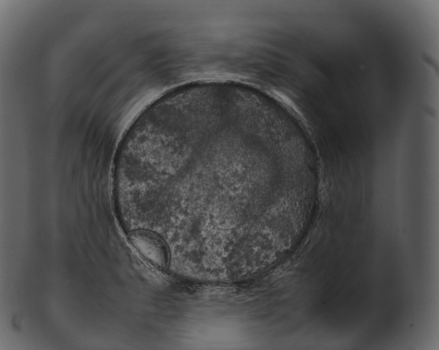 X0000100491183200807031909