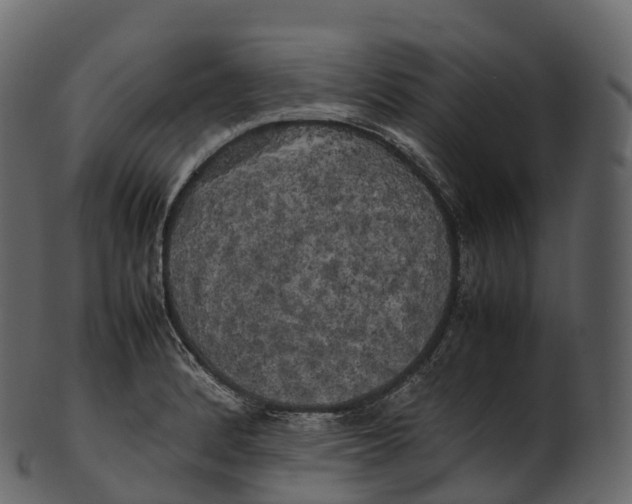 X0000100491184200807031909