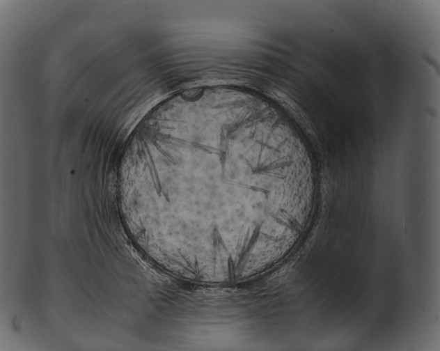 X0000100491185200807031909