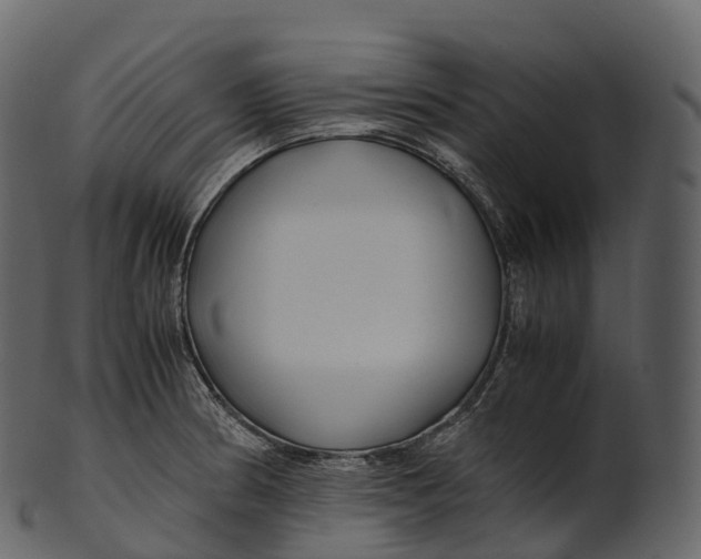 X0000100491186200807031909