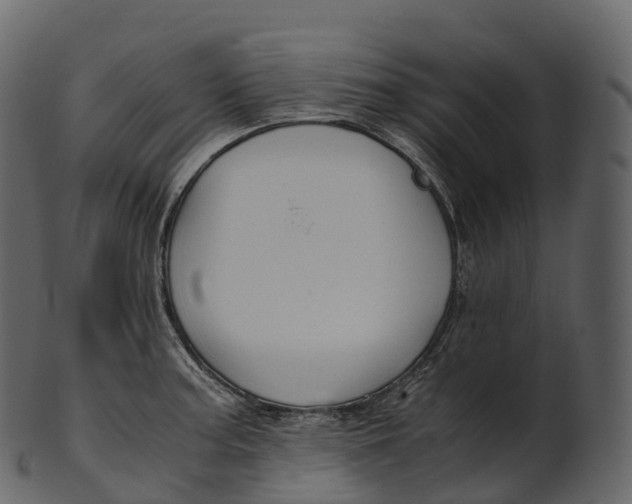 X0000100491187200807031909