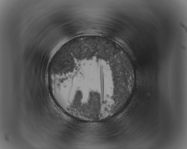 X0000100491188200807031909