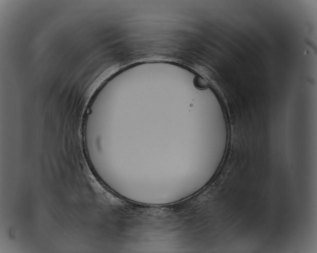 X0000100491189200807031909