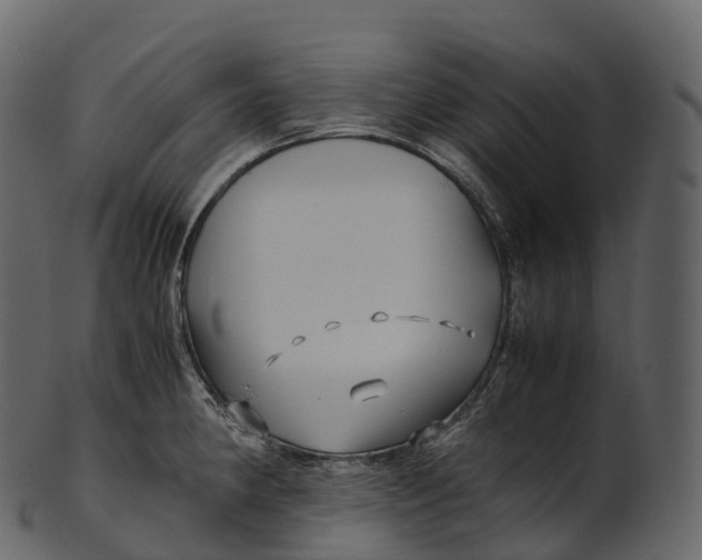 X0000100491190200807031909