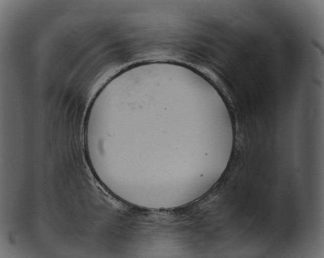 X0000100491191200807031909