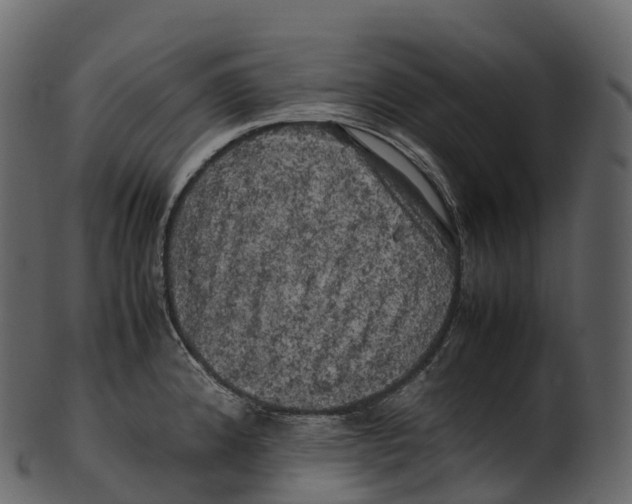 X0000100491192200807031909