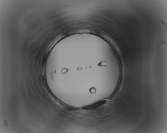 X0000100491193200807031909