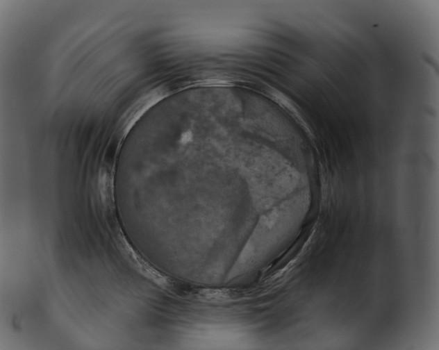 X0000100491194200807031909