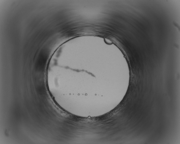 X0000100491195200807031909