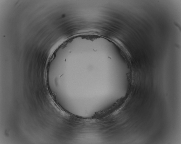 X0000100491196200807031909