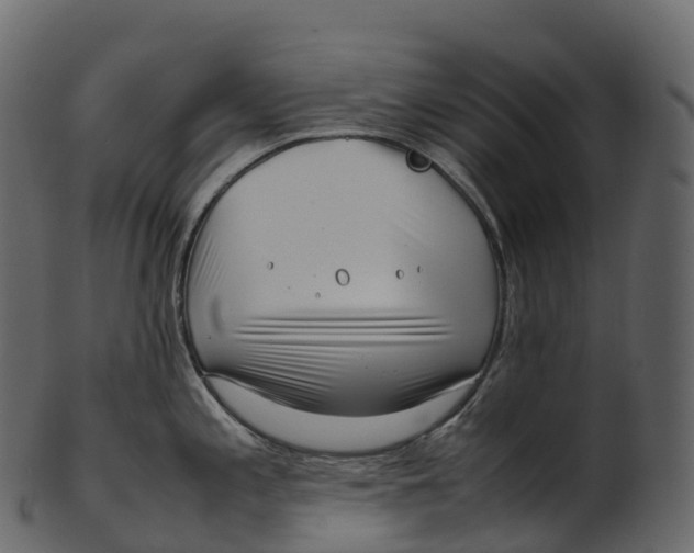 X0000100491197200807031909