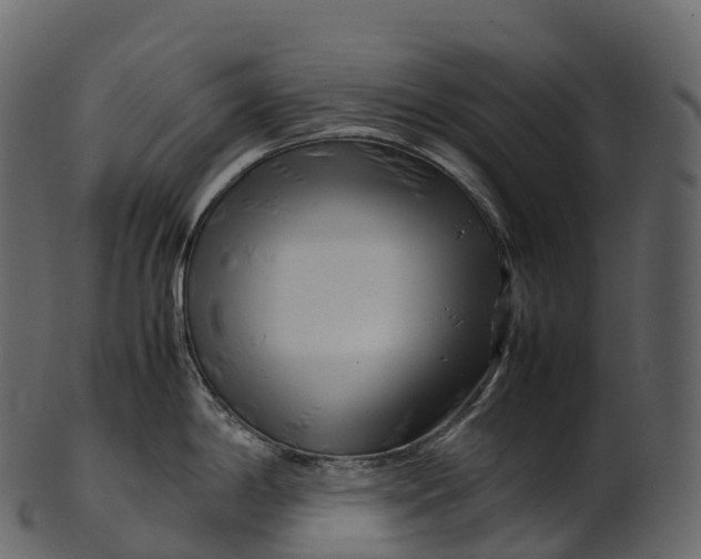 X0000100491198200807031909