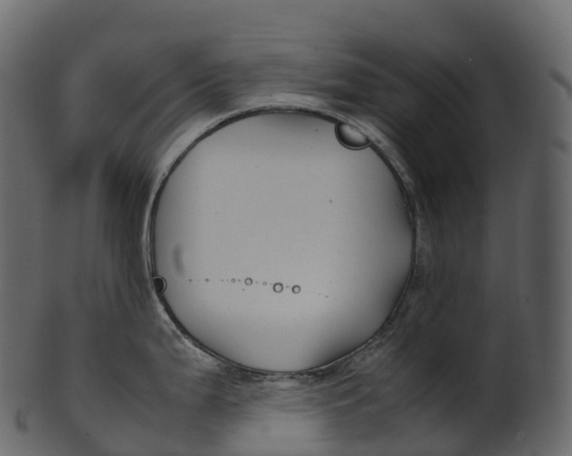 X0000100491199200807031909