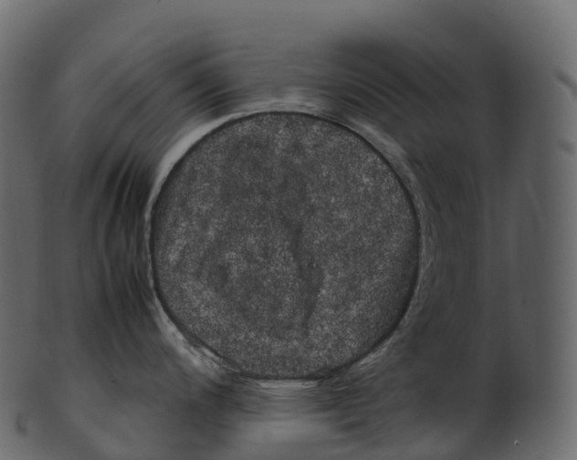 X0000100491200200807031909