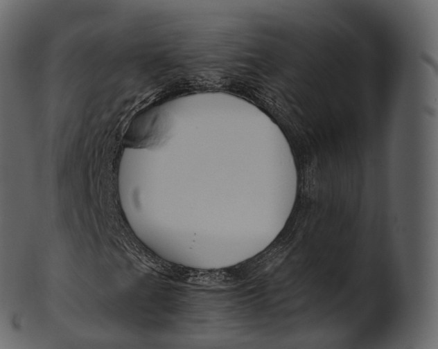 X0000100491201200807031908