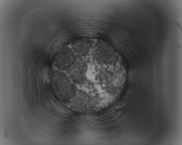 X0000100491202200807031908