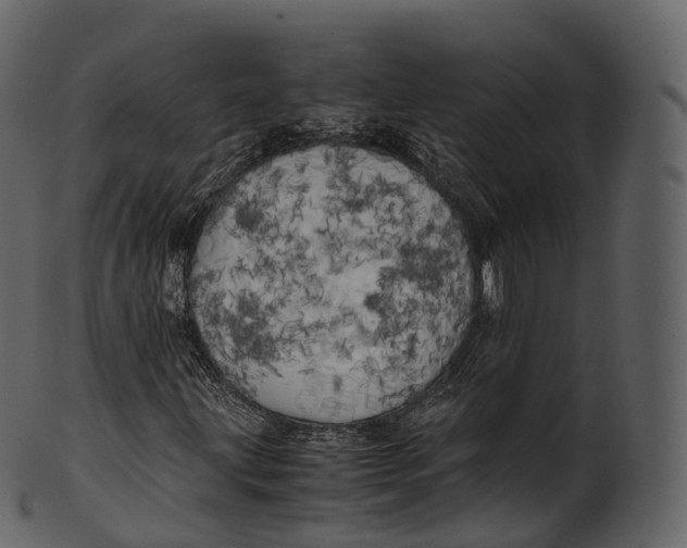 X0000100491203200807031908