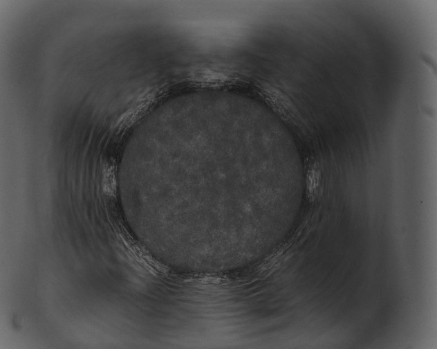 X0000100491204200807031908