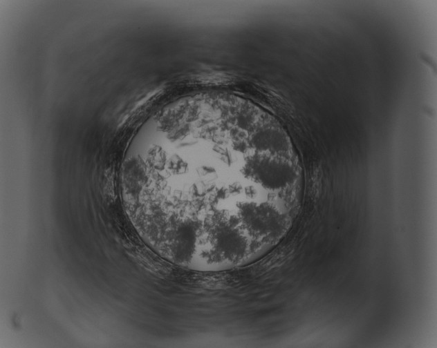 X0000100491205200807031908