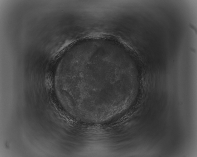 X0000100491206200807031908