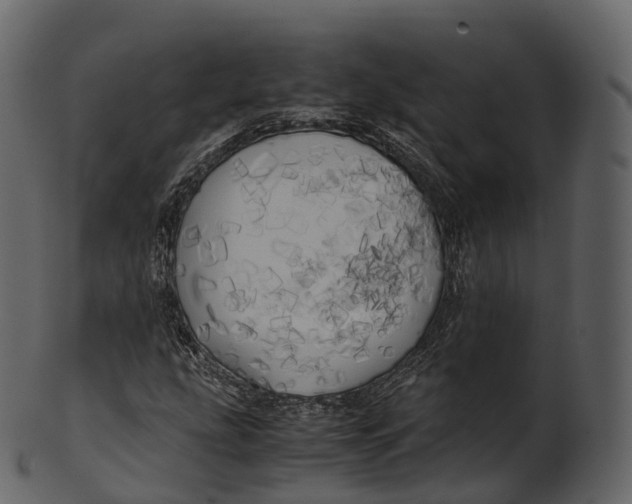 X0000100491207200807031908