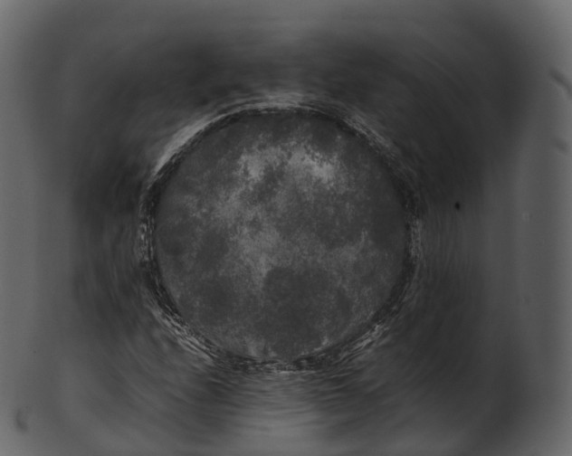 X0000100491208200807031908