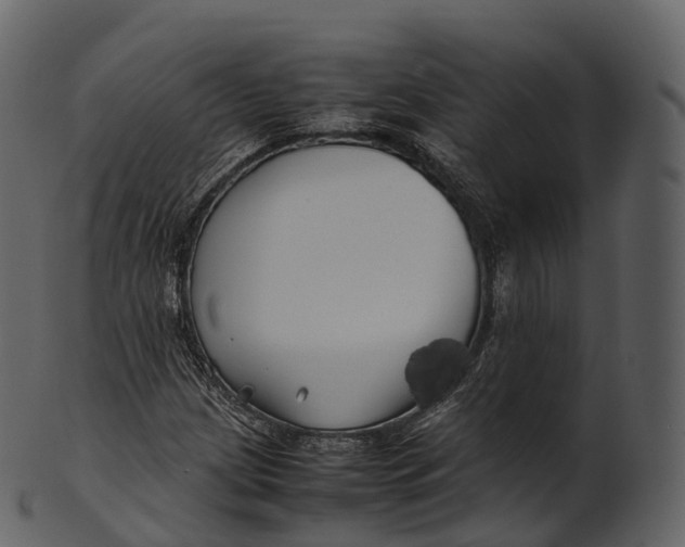 X0000100491209200807031908