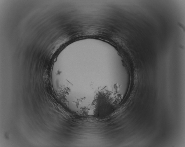 X0000100491210200807031908