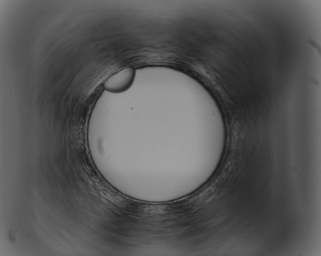 X0000100491211200807031908