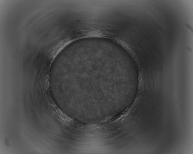 X0000100491212200807031908